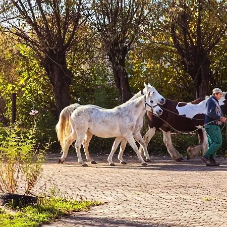 Wierzbowe Ranczo - Blisko Suntago Budy Michalowskie