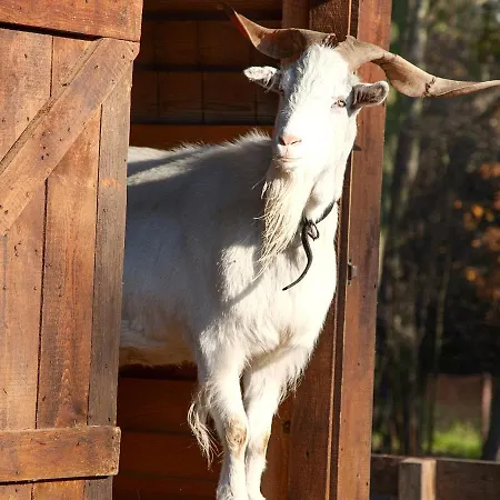 Wierzbowe Ranczo - Blisko Suntago Budy Michalowskie