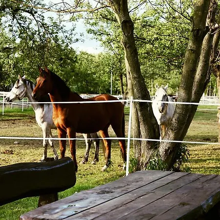 Wierzbowe Ranczo - Blisko Suntago *