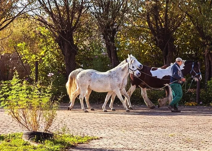Wierzbowe Ranczo - Blisko Suntago Budy Michalowskie