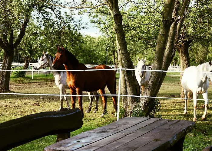 Wierzbowe Ranczo - Blisko Suntago *